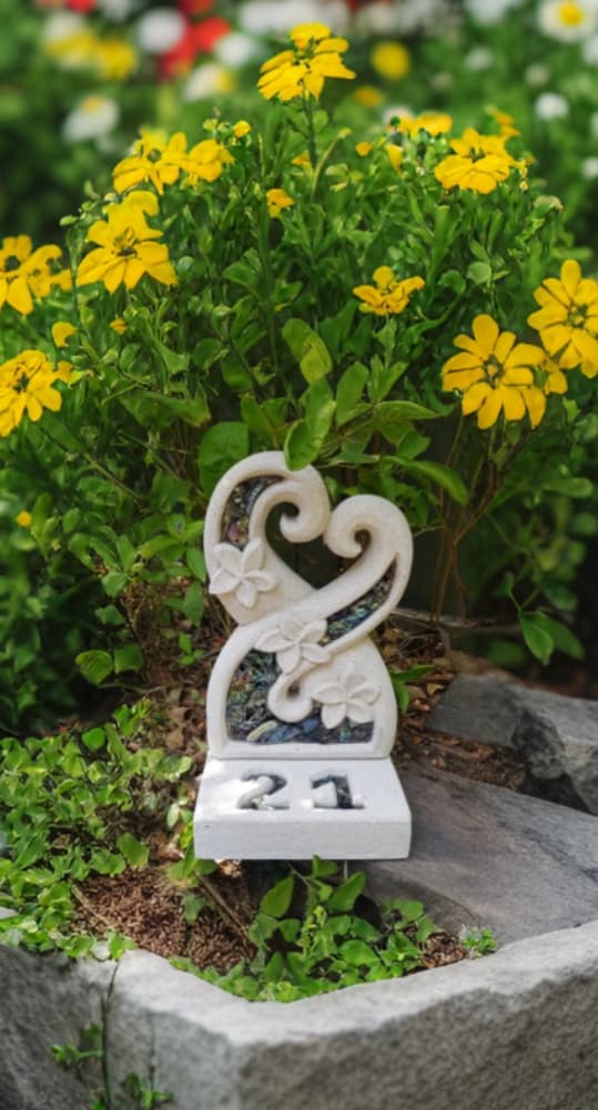 Beauty within (21 paua shell)